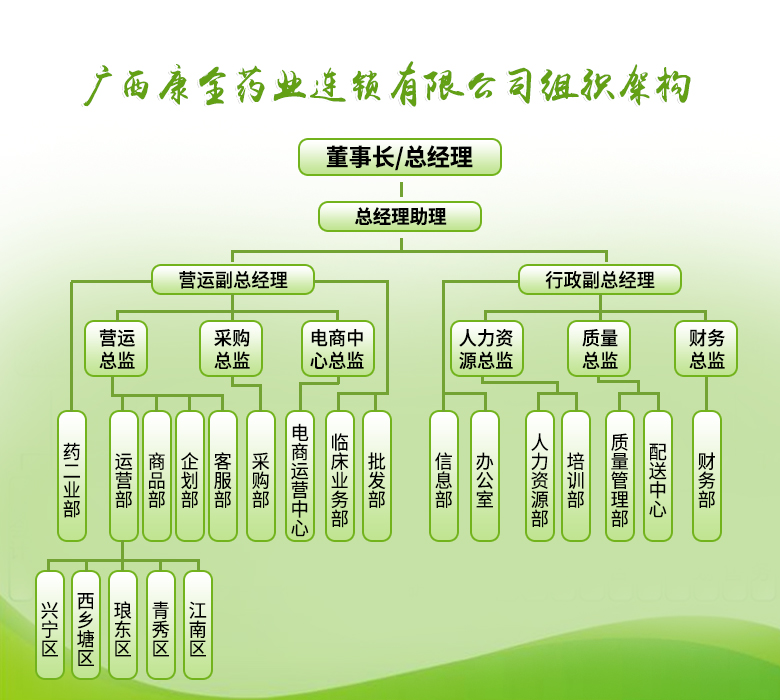 广西康全药业连锁有限公司组织架构图