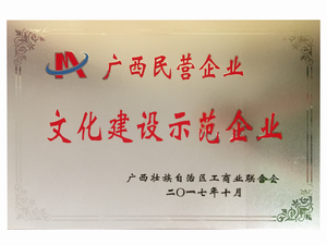 广西民营企业 文化建设示范企业