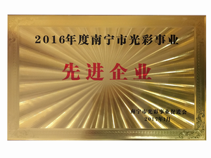 2016年度南宁市光彩事业先进单位